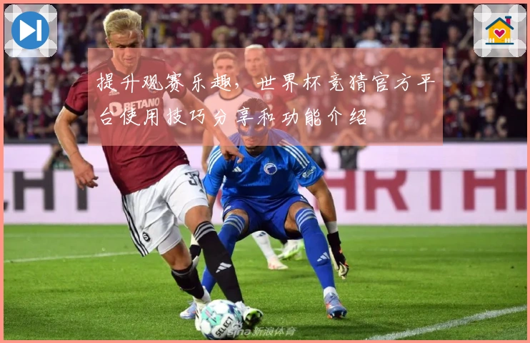 提升观赛乐趣，世界杯竞猜官方平台使用技巧分享和功能介绍