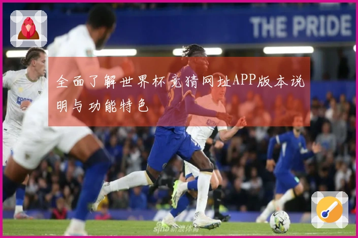全面了解世界杯竞猜网址APP版本说明与功能特色