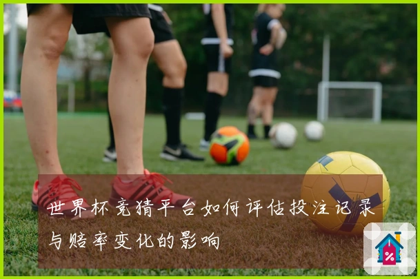 世界杯竞猜平台如何评估投注记录与赔率变化的影响
