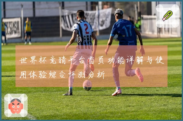 世界杯竞猜平台首页功能详解与使用体验综合评测分析