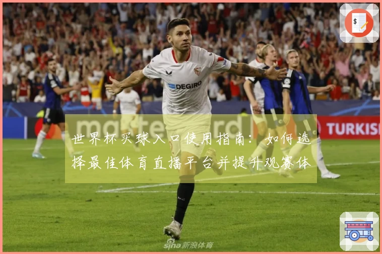 世界杯买球入口使用指南：如何选择最佳体育直播平台并提升观赛体验