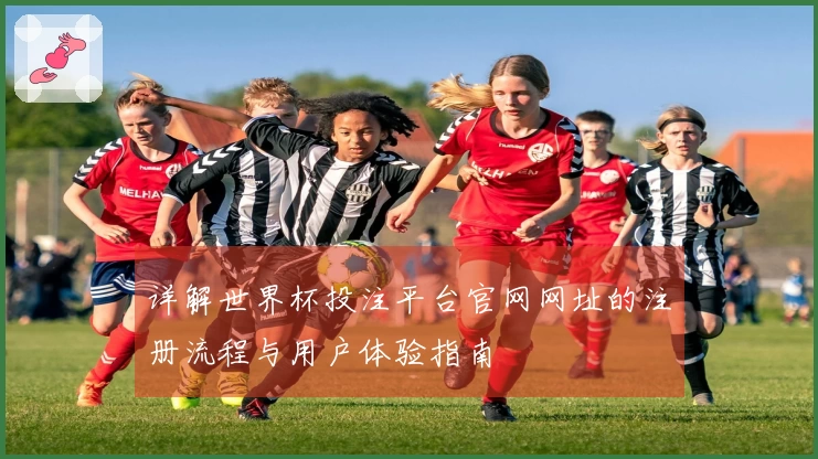 详解世界杯投注平台官网网址的注册流程与用户体验指南