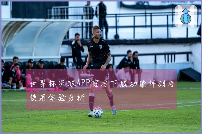 世界杯买球APP官方下载功能评测与使用体验分析