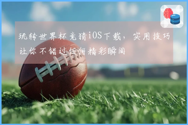 玩转世界杯竞猜iOS下载，实用技巧让你不错过任何精彩瞬间