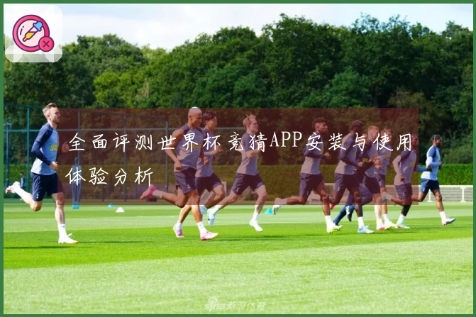 全面评测世界杯竞猜APP安装与使用体验分析
