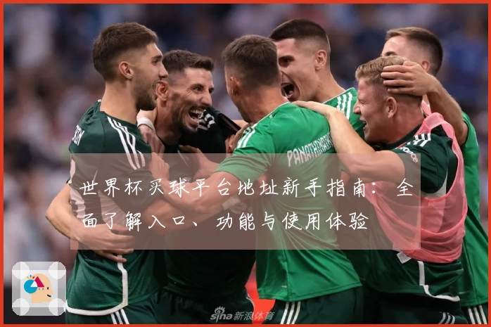 世界杯买球平台地址新手指南：全面了解入口、功能与使用体验