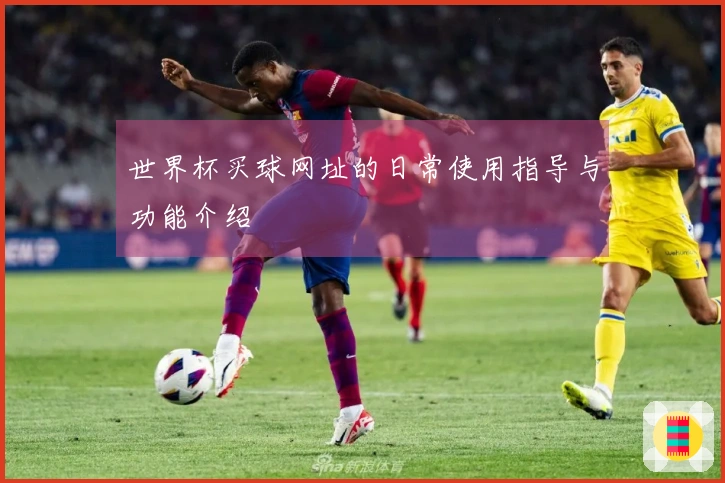 世界杯买球网址的日常使用指导与功能介绍