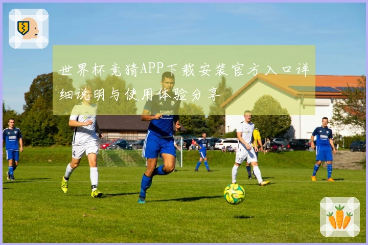 世界杯竞猜APP下载安装官方入口详细说明与使用体验分享