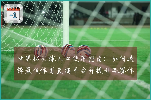 世界杯买球入口使用指南:如何选择最佳体育直播平台并提升观赛体验