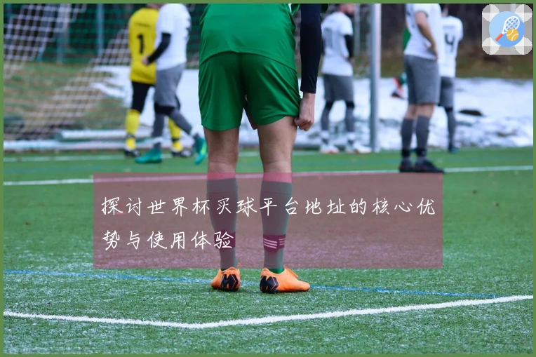 探讨世界杯买球平台地址的核心优势与使用体验
