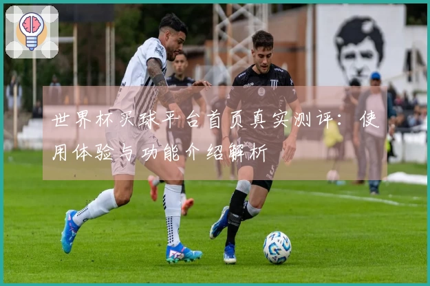 世界杯买球平台首页真实测评：使用体验与功能介绍解析
