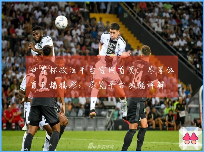世界杯投注平台官网首页：尽享体育直播精彩，尽览平台功能详解