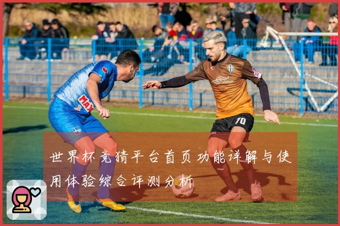世界杯竞猜平台首页功能详解与使用体验综合评测分析
