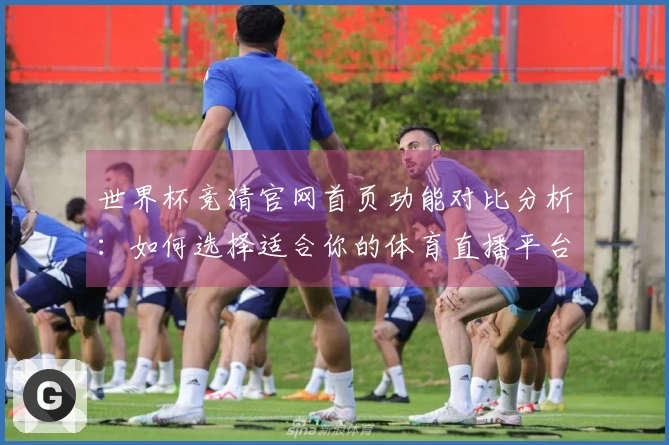 世界杯竞猜官网首页功能对比分析：如何选择适合你的体育直播平台