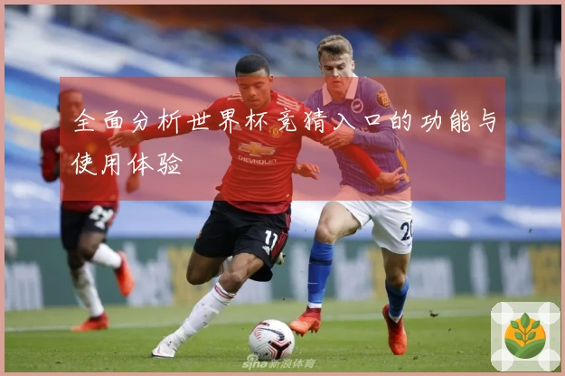 全面分析世界杯竞猜入口的功能与使用体验