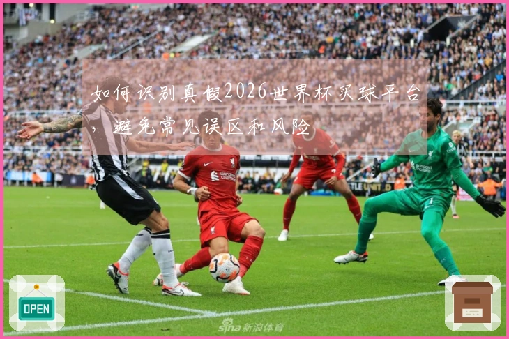 如何识别真假2026世界杯买球平台，避免常见误区和风险